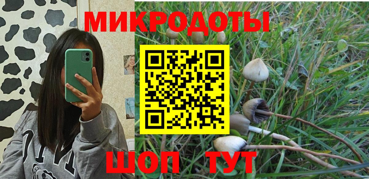 Галлюциногенные грибы GOLDEN TEACHER Калуга